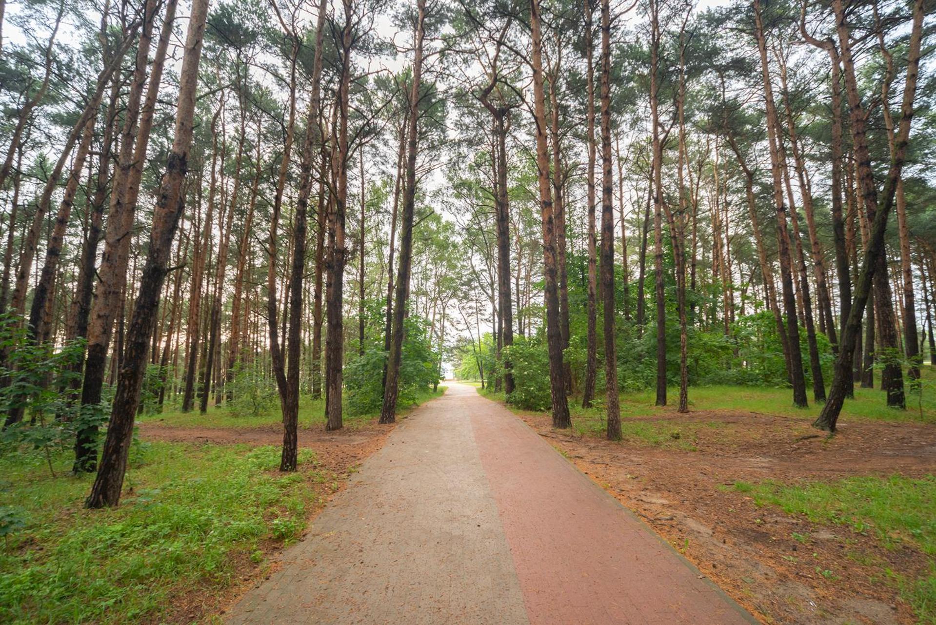 Apartament Wygodny Sopot Zewnętrze zdjęcie